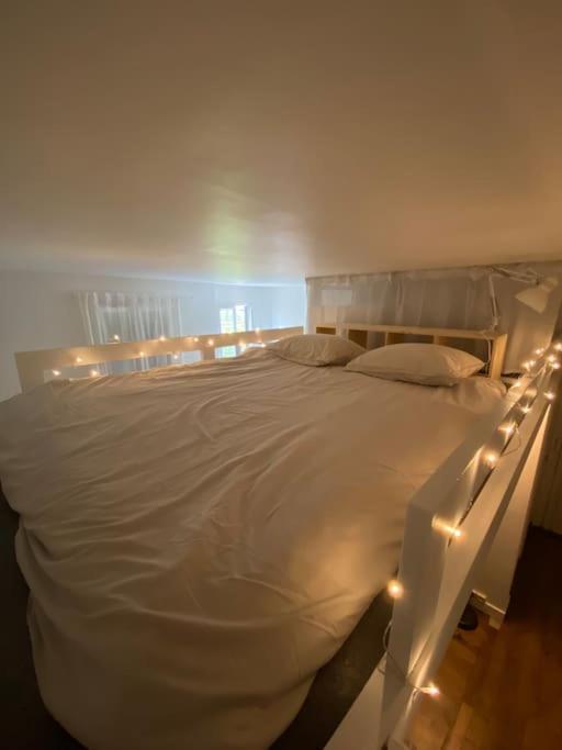 Appartement De Charme Pres Du Stade De France Saint-Denis  Ngoại thất bức ảnh